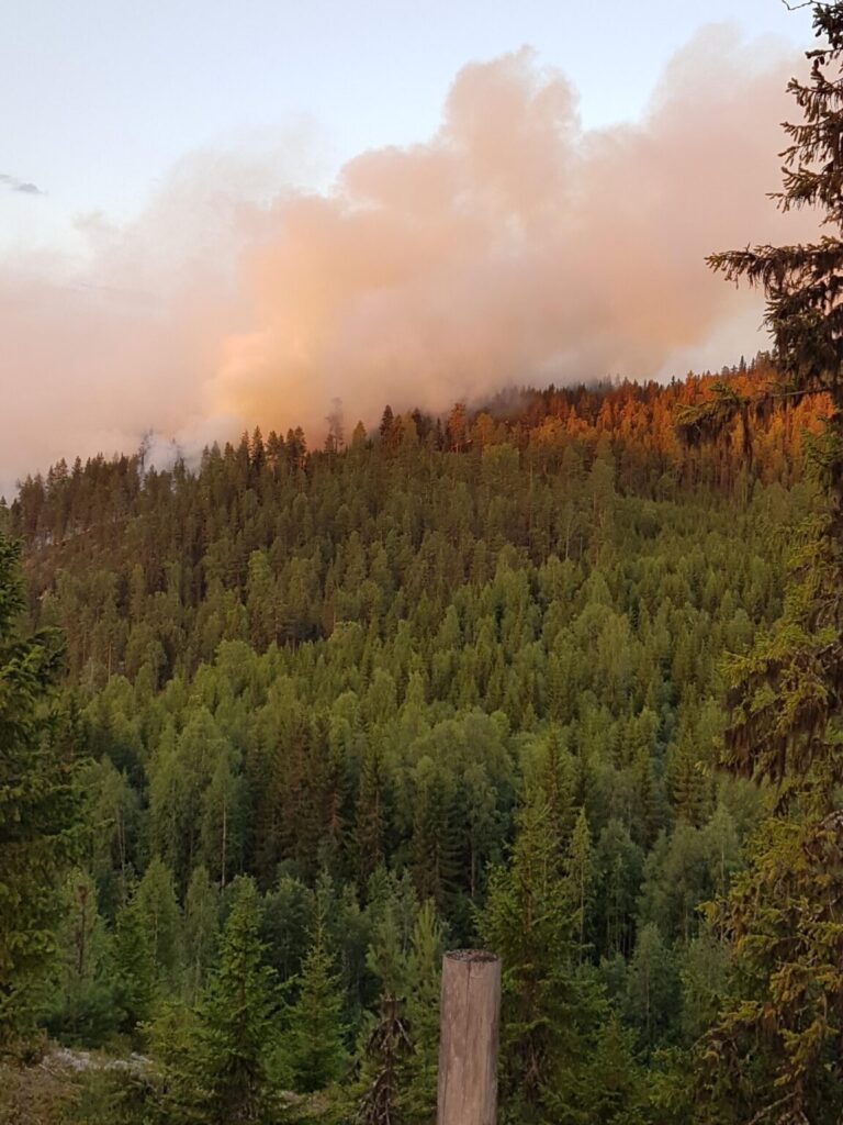 Bergssluttning med träd och mycket rök